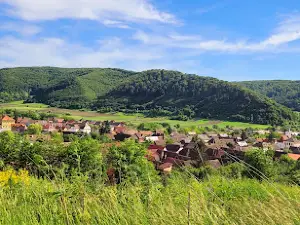 Camping Curtea Larga