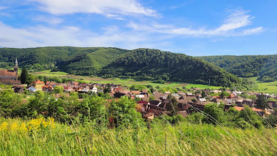 Camping Curtea Larga