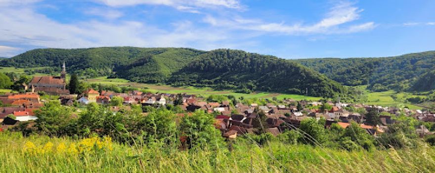 Camping Curtea Larga