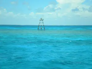Key Largo Princess Glass Bottom Boat