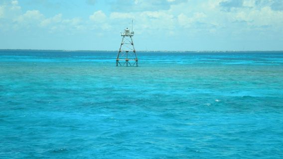 Key Largo Princess Glass Bottom Boat