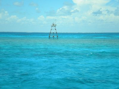 Key Largo Princess Glass Bottom Boat