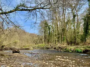 Bryngarw Country Park