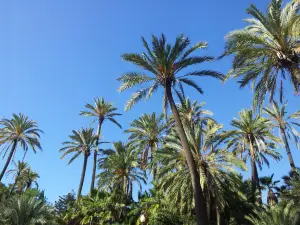 エル・パルメラル公園