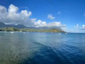 Hanalei Pier