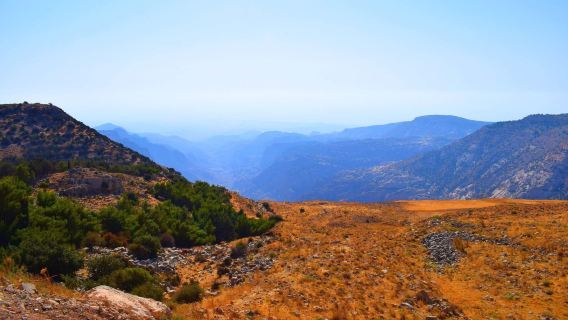 Dana Nature Reserve