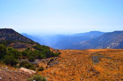 Dana Nature Reserve