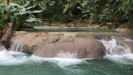 Mayfield Falls & Mineral Springs (Original)