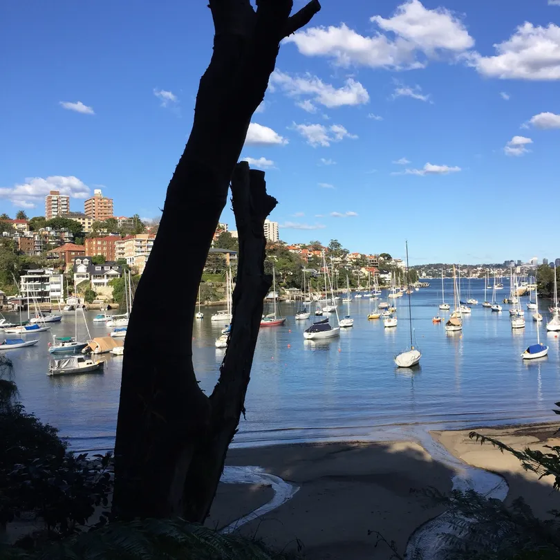 2_Cremorne Point to Mosman Bay Walk
