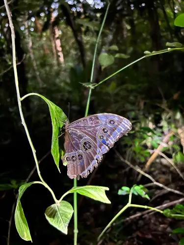 Ecological Sanctuary