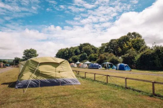 Avon Valley Adventure Park