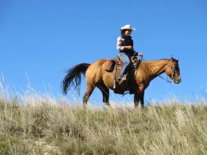 Rowse's 1+1 Ranch