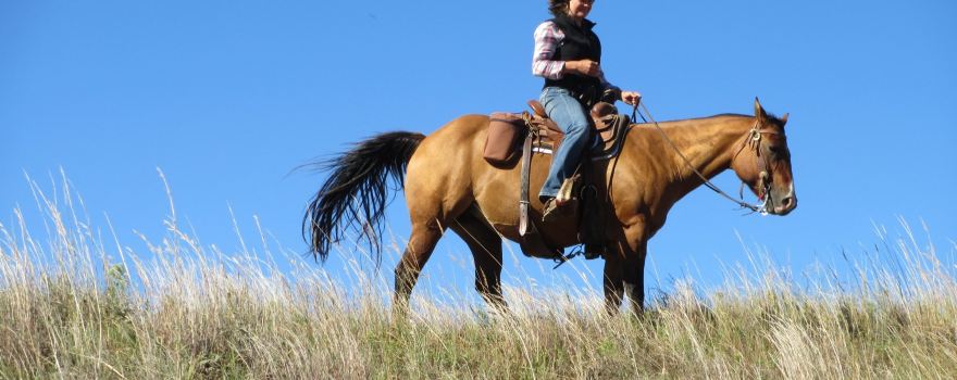 Rowse's 1+1 Ranch