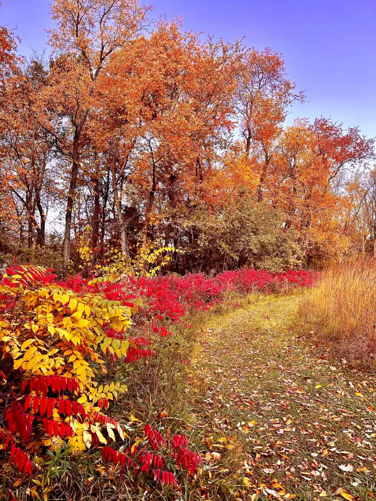 Hotels in Oregon-Nashua Township