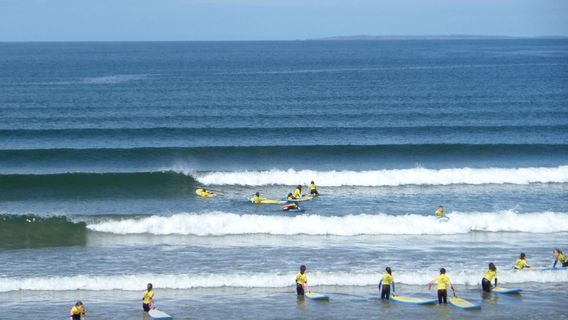 Fin McCool Surf School & Surf Shop