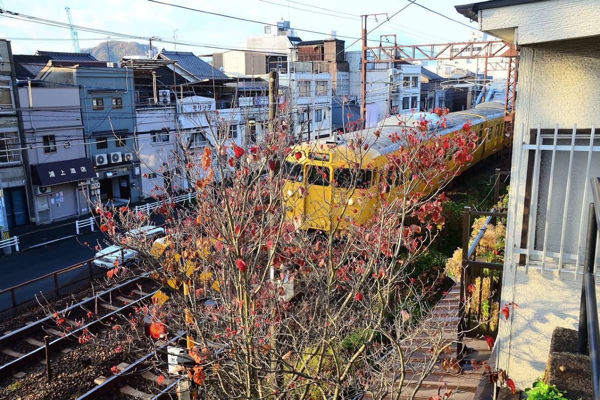 廣島紅葉 | 尾道千光寺公園