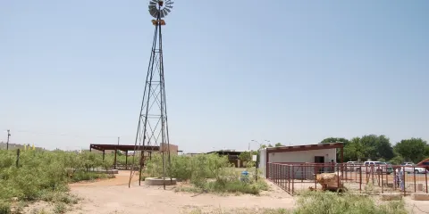 Sibley Nature Center