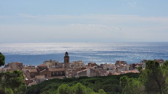 Dalmau Park