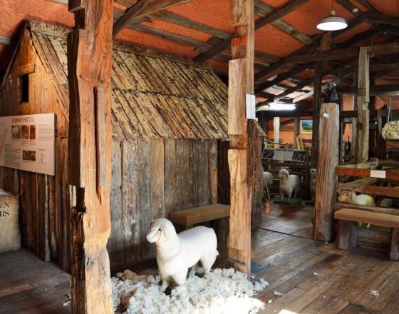 馬斯特頓 自由行套票