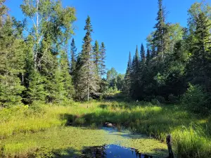 Mikisew Provincial Park