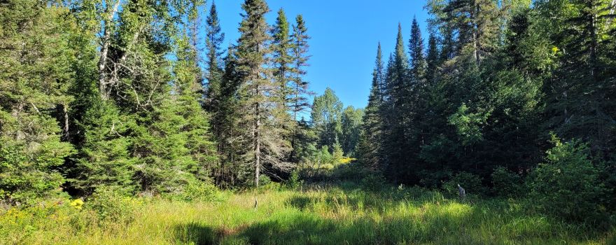 parc provincial Mikisew