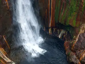 Catarata Del Toro Adventures