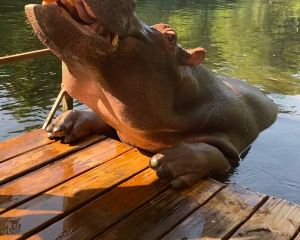香港-胡德斯普雷特 機票酒店 自由行