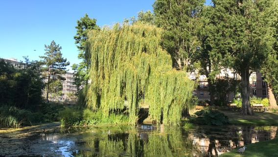 Square Saint-Roch