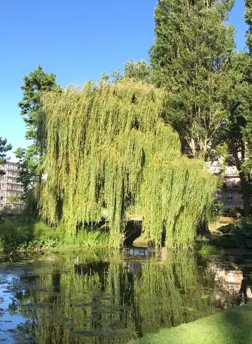 Hotels near Square Saint-Roch