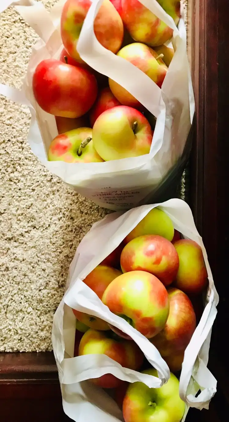 사우스 히어로 호텔