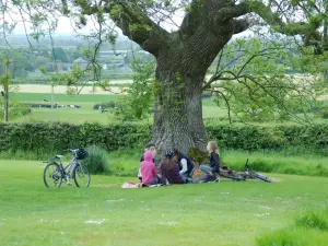 Bike Park Ireland