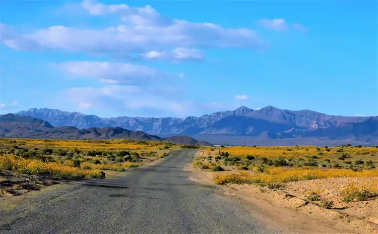Các khách sạn ở Shoshone