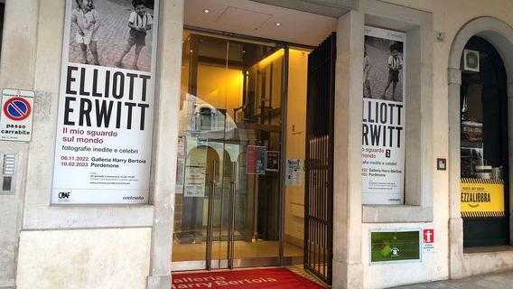 Galleria Harry Bertoia