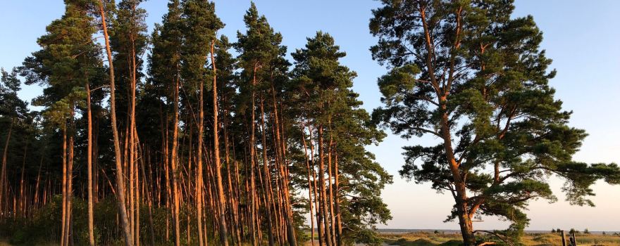 Pärnu Bay Golf Links
