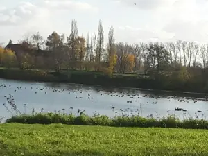 Provincial Domain Bergelen