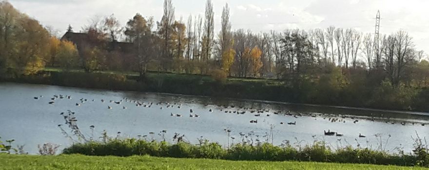 Provincial Domain Bergelen
