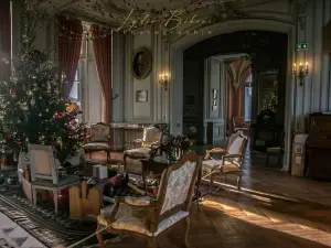 Castle of the Buissiere