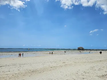 Kiwengwa