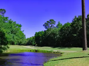 The Players Course at Wyboo