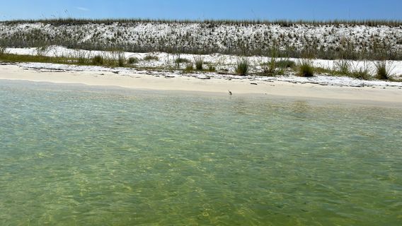 Gilligan's Watersports