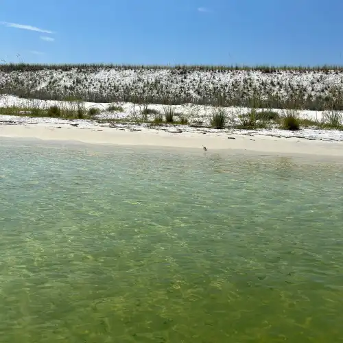 Gilligan's WaterSports