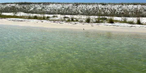 Gilligan's WaterSports