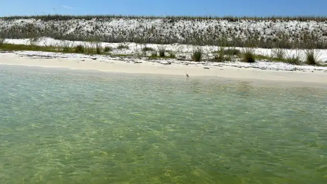 Gilligan's WaterSports