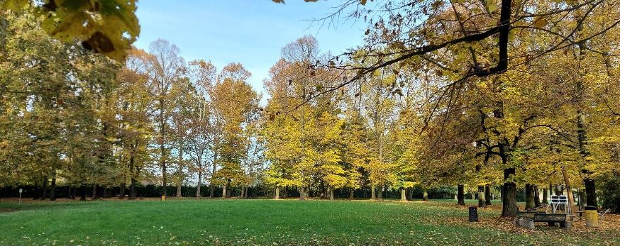 Parco Vita