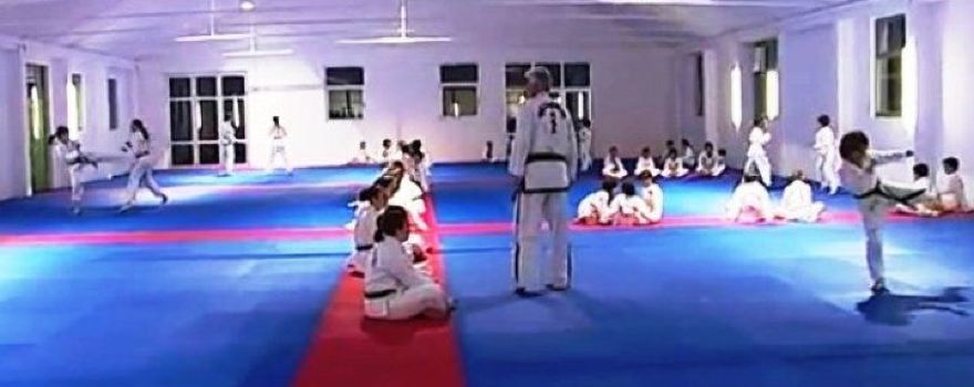 Cro Combat Centar
