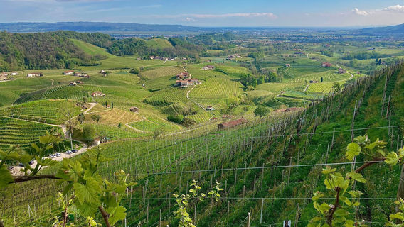 Col Vetoraz Spumanti Spa