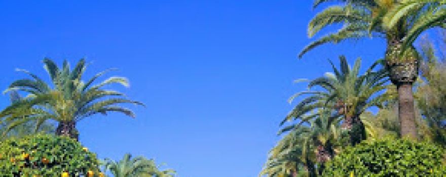 San Pablo Park