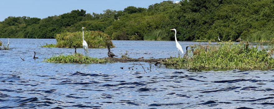 Santuario de Flora y Fauna Ciénaga Grande de Santa Marta