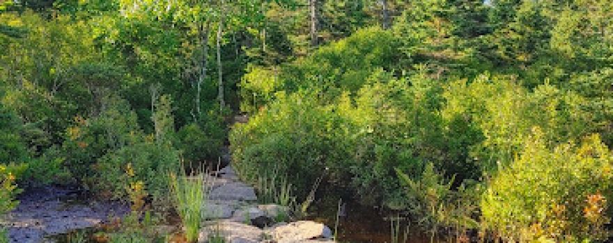 Blue Mountain - Birch Cove Lakes Wilderness Area