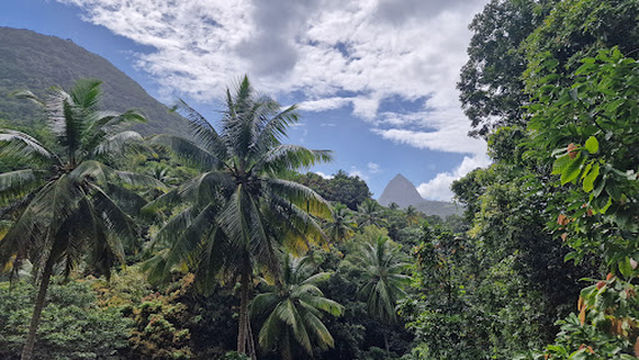 New Jerusalem Baths Tour